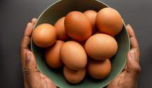 В українських курячих яйцях виявили сальмонелу: результати аналізів з Латвії