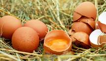 Яйца в Украине упали в цене