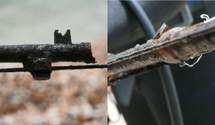 Историческое железо на морском дне: На Запорожье обнаружили останки винтовки Мосина – видео
