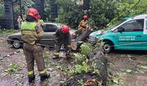 За пів години – 60% місячної норми дощу: рятувальники розповіли про наслідки потопу у Львові
