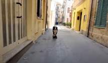 Собака-скейтбордистка каталась по улочкам Италии: забавное видео