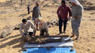 В Єгипті виявили загадкову гробницю з 20 муміями