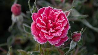 29 января – какой сегодня праздник и что нельзя делать в этот день