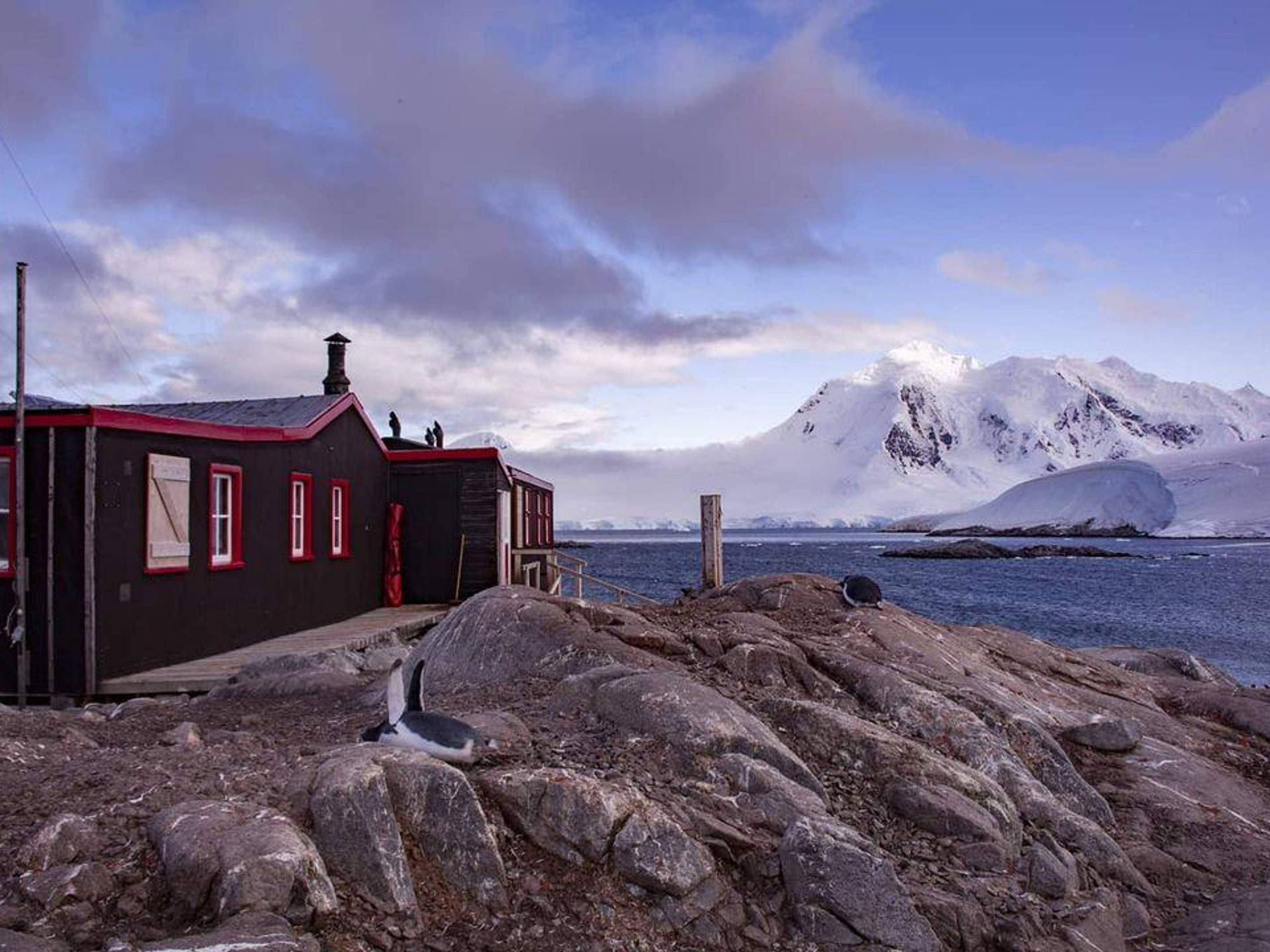 Почтовое отделение в Антарктиде 