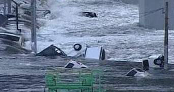 Японський землетрус призвів до забруднення Тихого океану