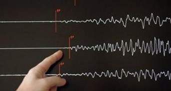 Японію сколихнув потужний землетрус