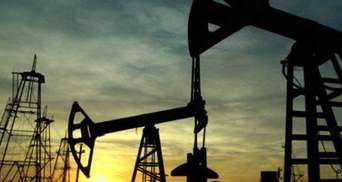 Країни Перської затоки не знизять видобуток нафти