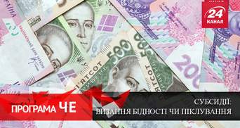 Программа ЧЕ. Украина "на игле" субсидий: подарок государства или признание бедности