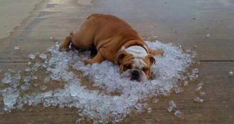 На вихідних в Україні очікується спека 