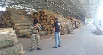 Незаконну вирубку лісу на мільйони гривень виявили на Вінниччині