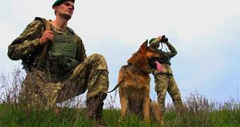 Українські прикордонники вкотре допомогли Інтерполу