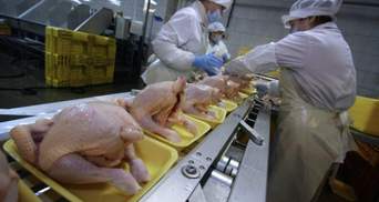 Из-за птичьего гриппа ЕС и ряд стран мира запретили курятину из Украины: какова причина болезни
