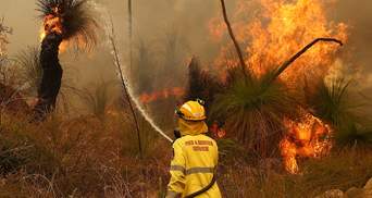 В Австралии вновь вспыхнули масштабные пожары: сотни людей эвакуируют – фото, видео