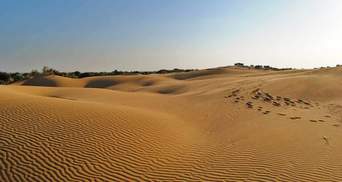 Замість степів – пустеля: у Кабміні припустили несприятливий сценарій для Півдня