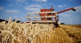 Цена высокого НДС: Украина ежегодно теряет $2 млрд из-за схем международных зернотрейдеров