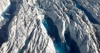 Тривожний сигнал для людства: глибоко під льодом вчені знайшли рослини