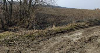 Вбивство ветерана у Києві: підозрюваних взяли під варту, їм загрожує довічне