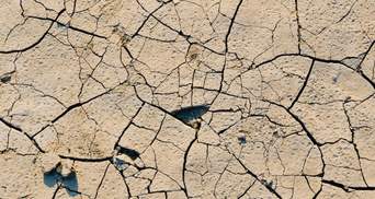 Україна і Молдова очолили рейтинг країн із найвищим ризиком посухи