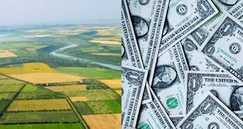 Справедливая стоимость украинской земли может составлять 5 тысяч долларов, – Ливч