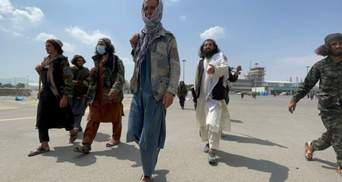 Пентагон допустил сотрудничество с талибами для борьбы с "ИГИЛ"