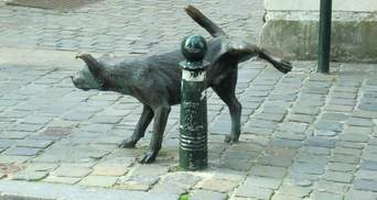 Собака с задранной лапкой: история смешного памятника в Брюсселе