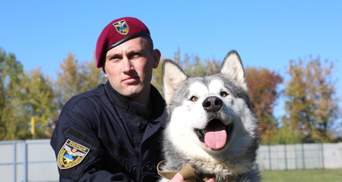 Полицейские из Винницы сделали яркую фотосессию с собаками в приюте: невероятные фото