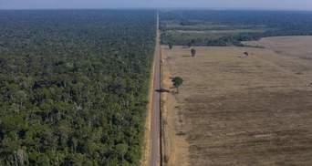 В Бразилии заявили о катастрофическом уровне обезлесивания Амазонии