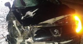 На трассе Киев – Чоп Peugeot насмерть сбил львовянку на пешеходном переходе
