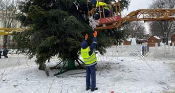 Во Львове разобрали главную елку: фото с центра города