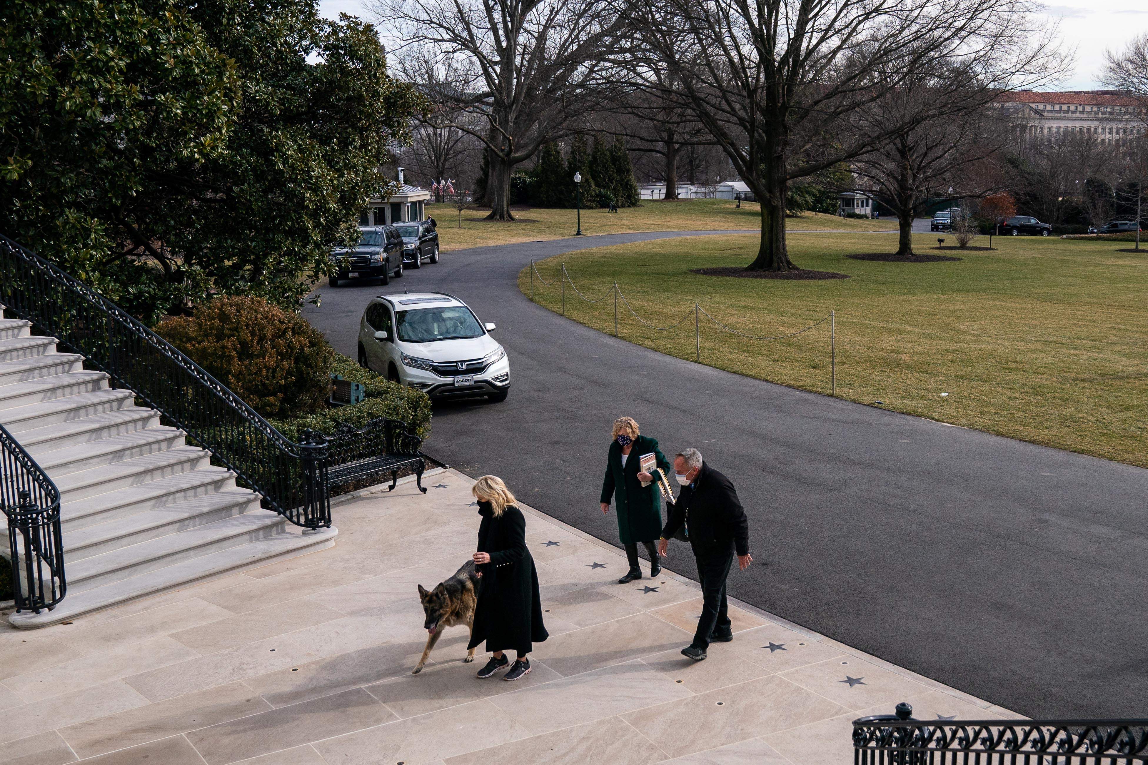 Собаки переїжджають в Білий дім разом із родиною новообраного президента
