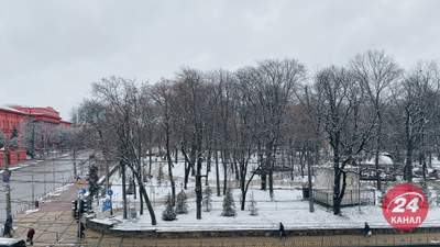 В Украине потеплеет, но будет ветрено и снежно: прогноз погоды на 20 января
