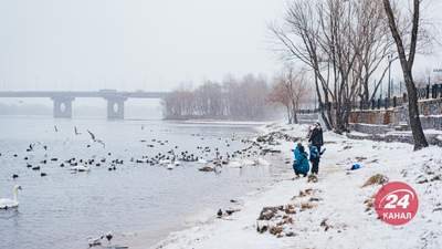 По всій Україні сніжитиме: прогноз погоди на 23 січня