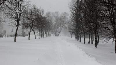 Украину накроет снег и штормовой ветер: в каких регионах ждать непогоду