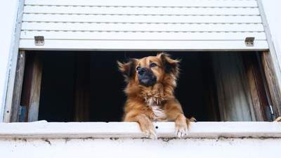 В Україні потепліє, але на Заході та Сході – мокрий сніг: прогноз погоди на 6 лютого