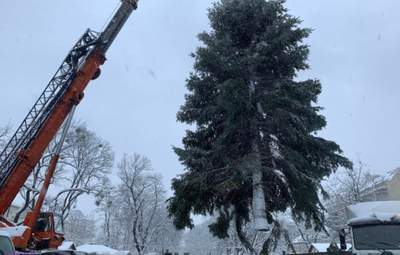 Очень пышная и красивая: в центре Львова установили главную елку