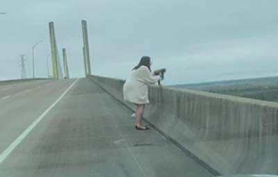 Сидел на краю моста и мог упасть: как женщина спасла кота от опасности