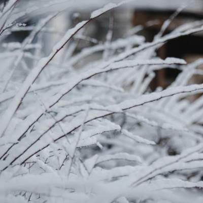 В Украине снова будет снежить и похолодает: что прогнозируют синоптики