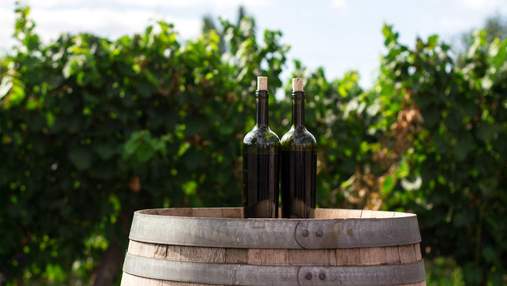 Замедляет старение и укрепляет иммунитет: чем вино полезно для организма
