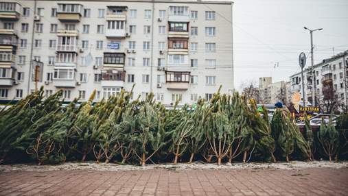 В Одессе продавцы облили соляркой тысячи елок, которые не продали до Нового года