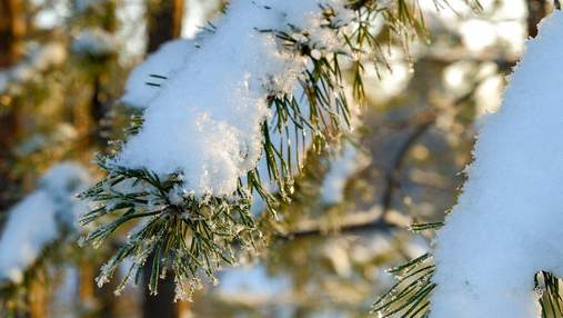 В Україні – сніг, сонце та мороз: прогноз погоди на 22 січня