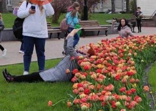 У Києві розцвіли тюльпани