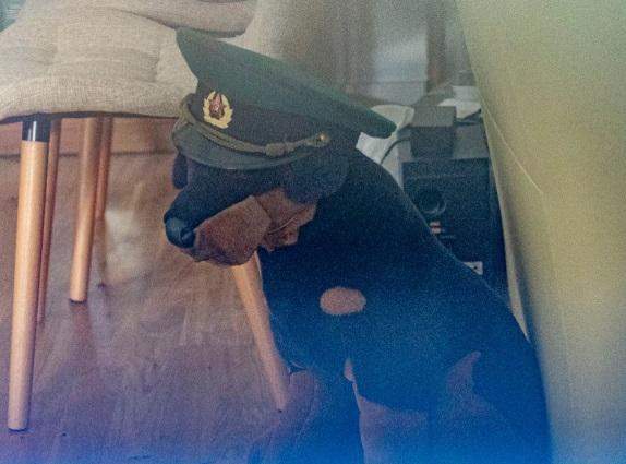 Собака у кашкеті в будинку британця