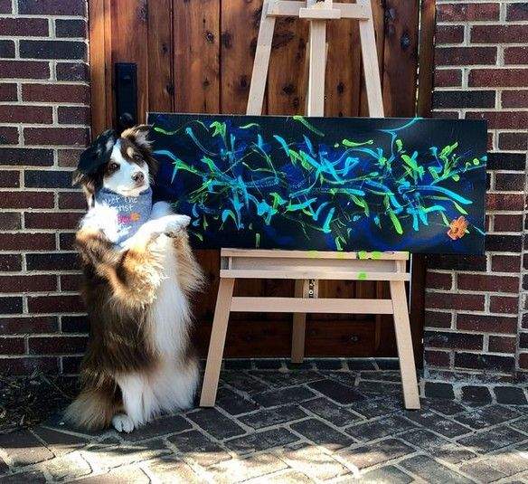 Собака рисует зубами