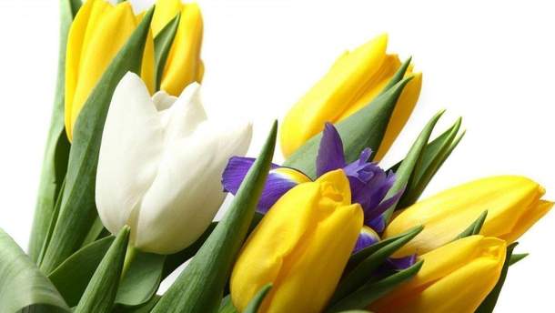 Що подарувати на 8 березня 2019 - подарунки дівчині на 8 березня Що подарувати на 8 березня 2019 - подарунки дівчині на 8 березня