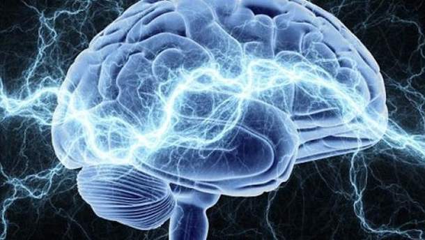 Нейробіологи виявили невідому ділянку у людському мозку