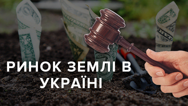Ринок землі в Україні: відбулись перші аукціони з оренди земельних ділянок