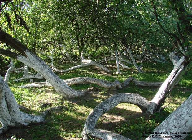 599945_1308955.jpg?201508231939