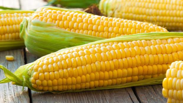 Як варити кукурудзу правильно: корисні поради