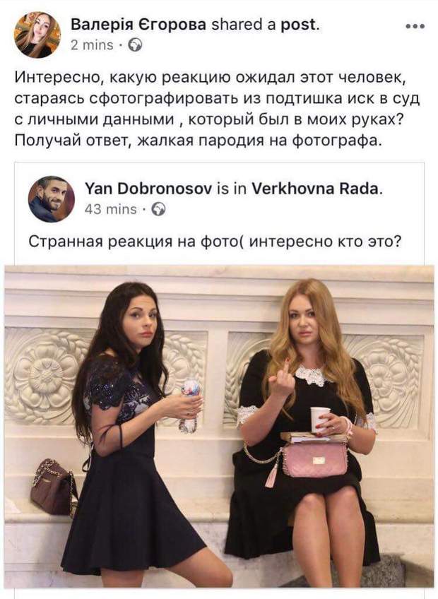 Егорова, скандал, Радикальная партия, Верховная Рада, Доброносов