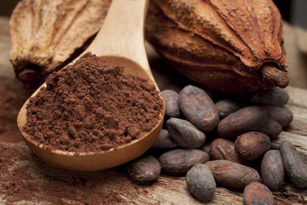 Какао-порошок, користь, харчування, здоров'я